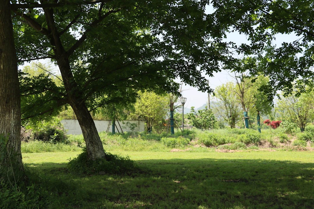 公園で子供たちが凧揚げして楽しそう！  笑顔が見ている私の心を暖めてくれます。