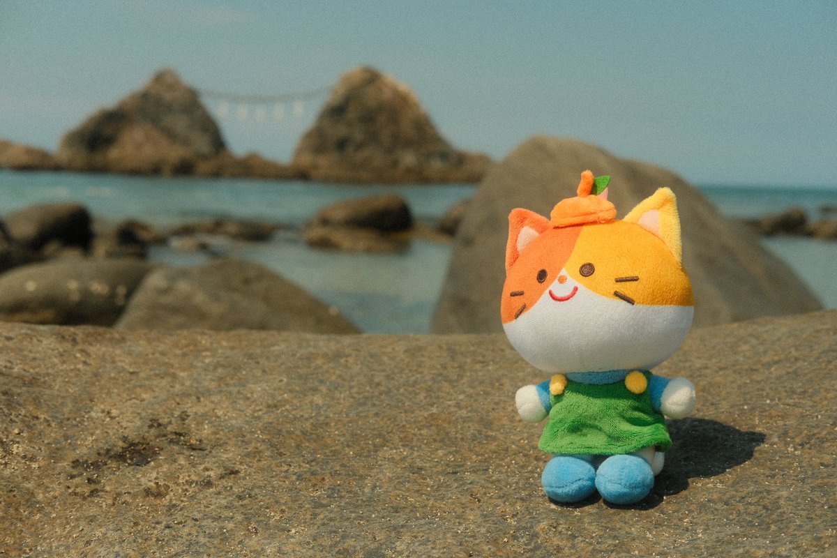 also LOOK CITRUS CAT REAL!!!! 😭🥹 i took her on a cycling trip to the sea yesterday!