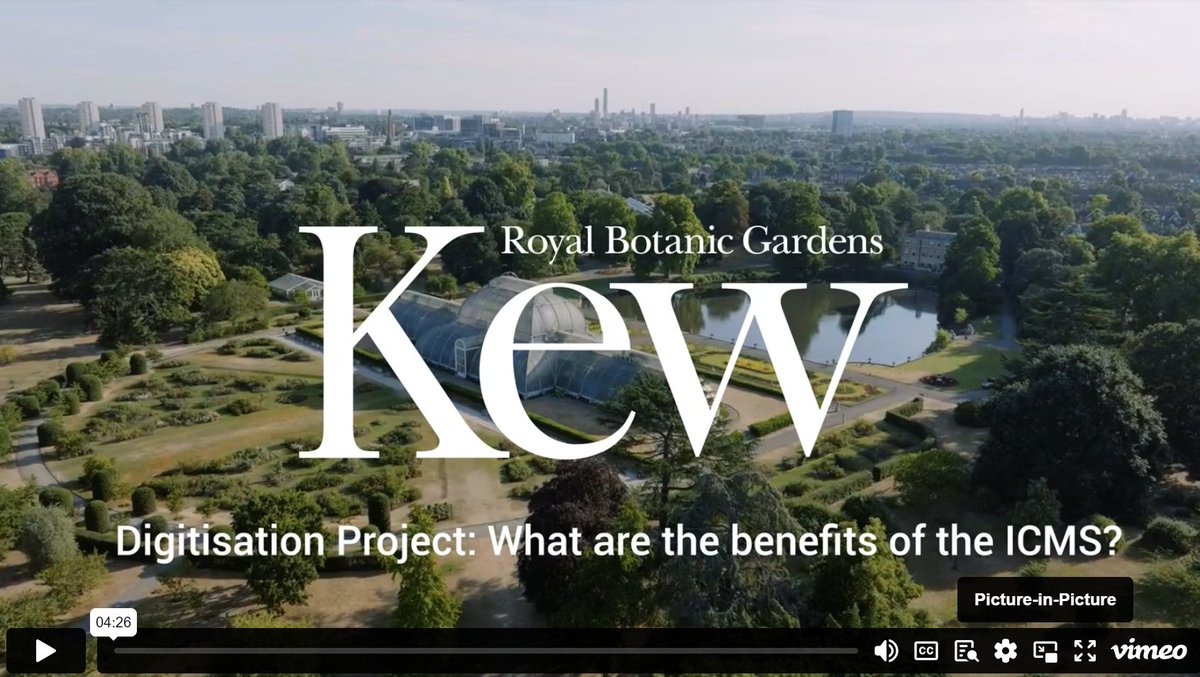 We are very excited by the effort of <a href="/KewScience/">Kew Science</a> to creat this fantastic visual showcasing the integration of their collections within @earthcape cms vimeo.com/809840349/0f4d… read more: kew.org/science/our-sc… #tdwg2024