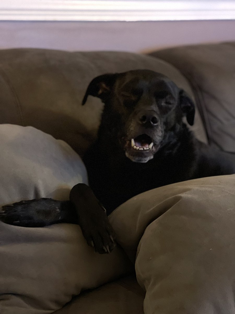 Michael (@michael_hein_) on Twitter photo 