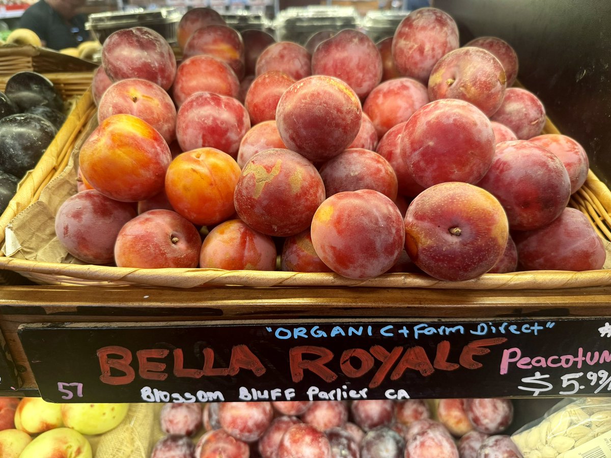 Erik Berlin tweet media