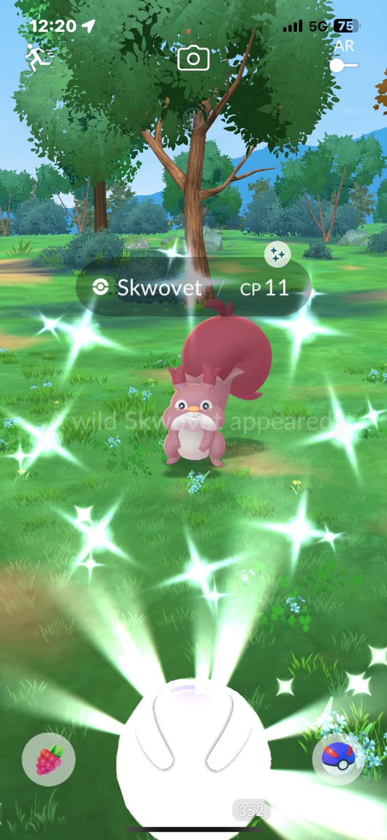 Shiny Skwovet!! ☺️#PokemonGO