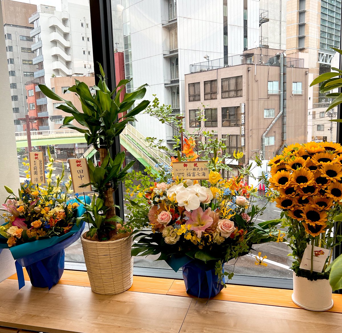 MAI_gifted's tweet photo. 本日ついにLagoon開校です。たくさんのお祝いを頂き、幸せなスタートを迎えています💐 本当にありがとうございます！

ギフテッド特性ある子ども達にとって良き「居場所」となるよう、スタッフ一同努めてまいります。 https://t.co/oLE31fUaTS