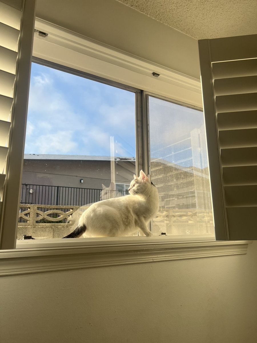 Ricardo Franco tweet media