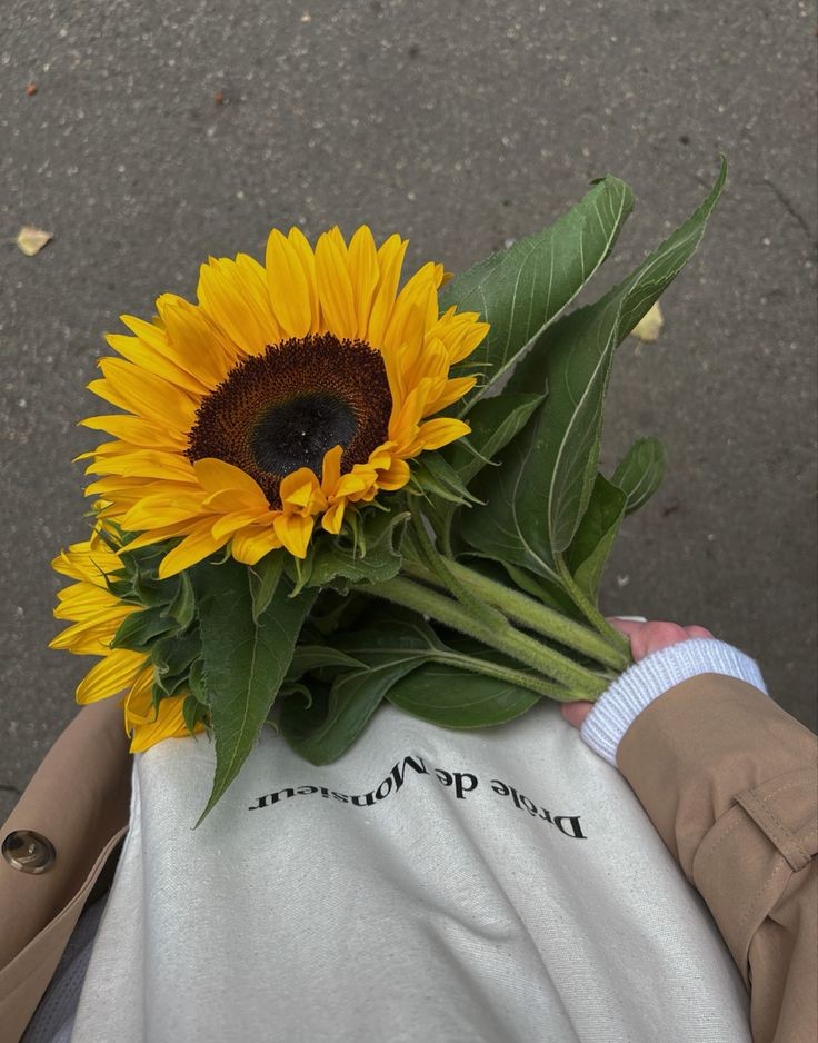 crowteetz's tweet image. and if i choose: to be the sun or the sunflower— i might be the sunflower, and you, the sun. i'd rather face where you're rising and follow where you go, and whilst seasons change i'd remain looking at you. happy birthday, love 🌻