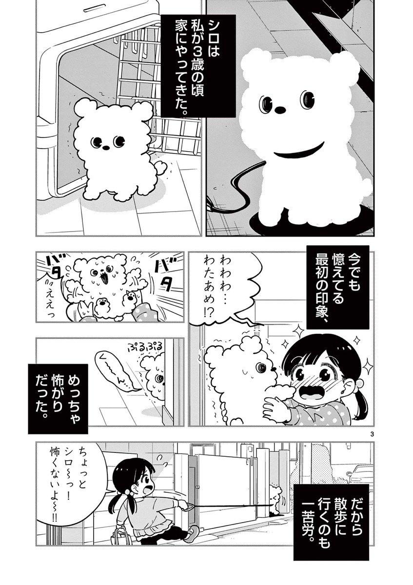 夜に犬と散歩する話(2/5) 