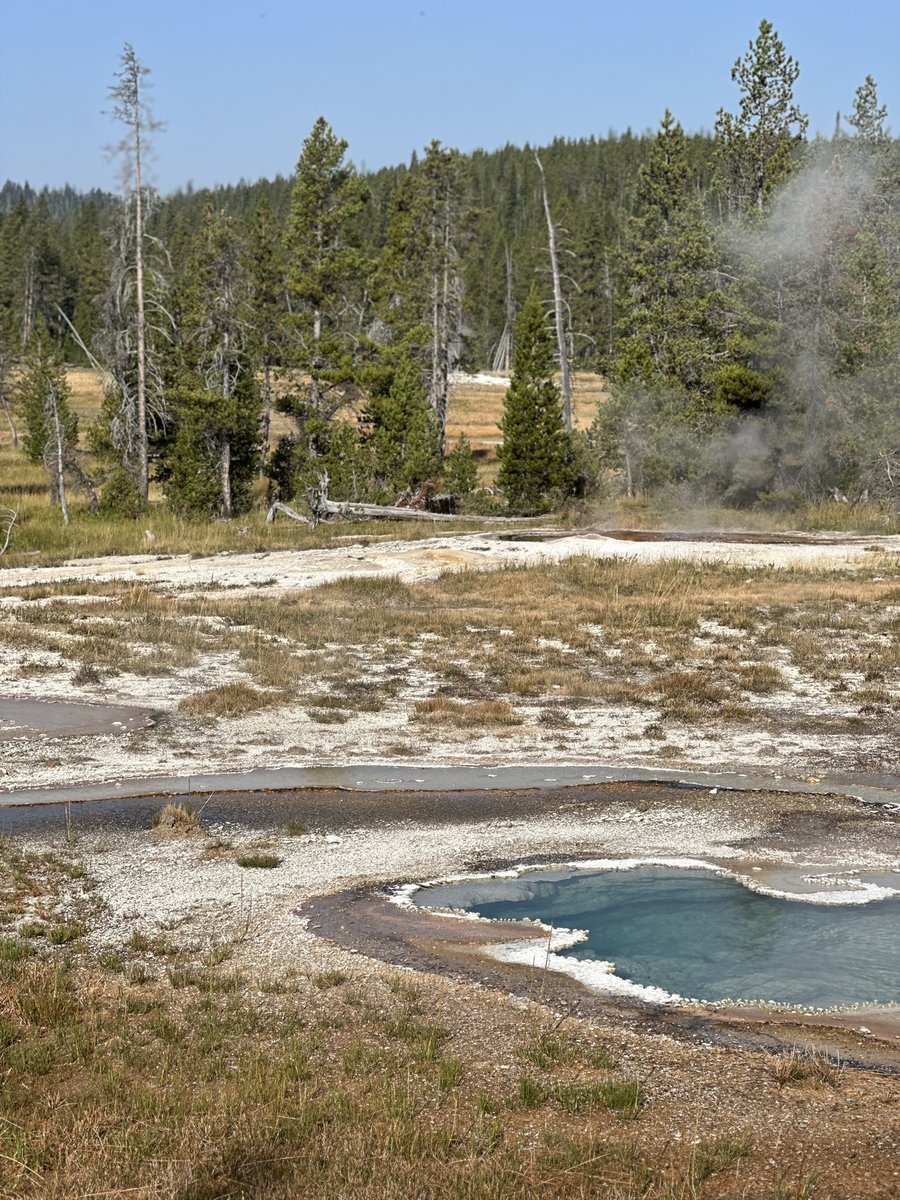 Kristen Inbody tweet media