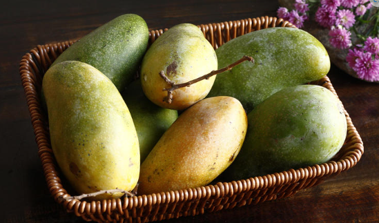 Lợi Đất Tổ Vlogs tweet media