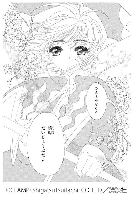 bozu_108's tweet photo. メンタル病んでる人はこの画像見て寝なさい選手権

入賞

カードキャプターさくらの主人公、木之本桜ちゃんのこの台詞をきかせてみて！ https://t.co/R21u2W4II6