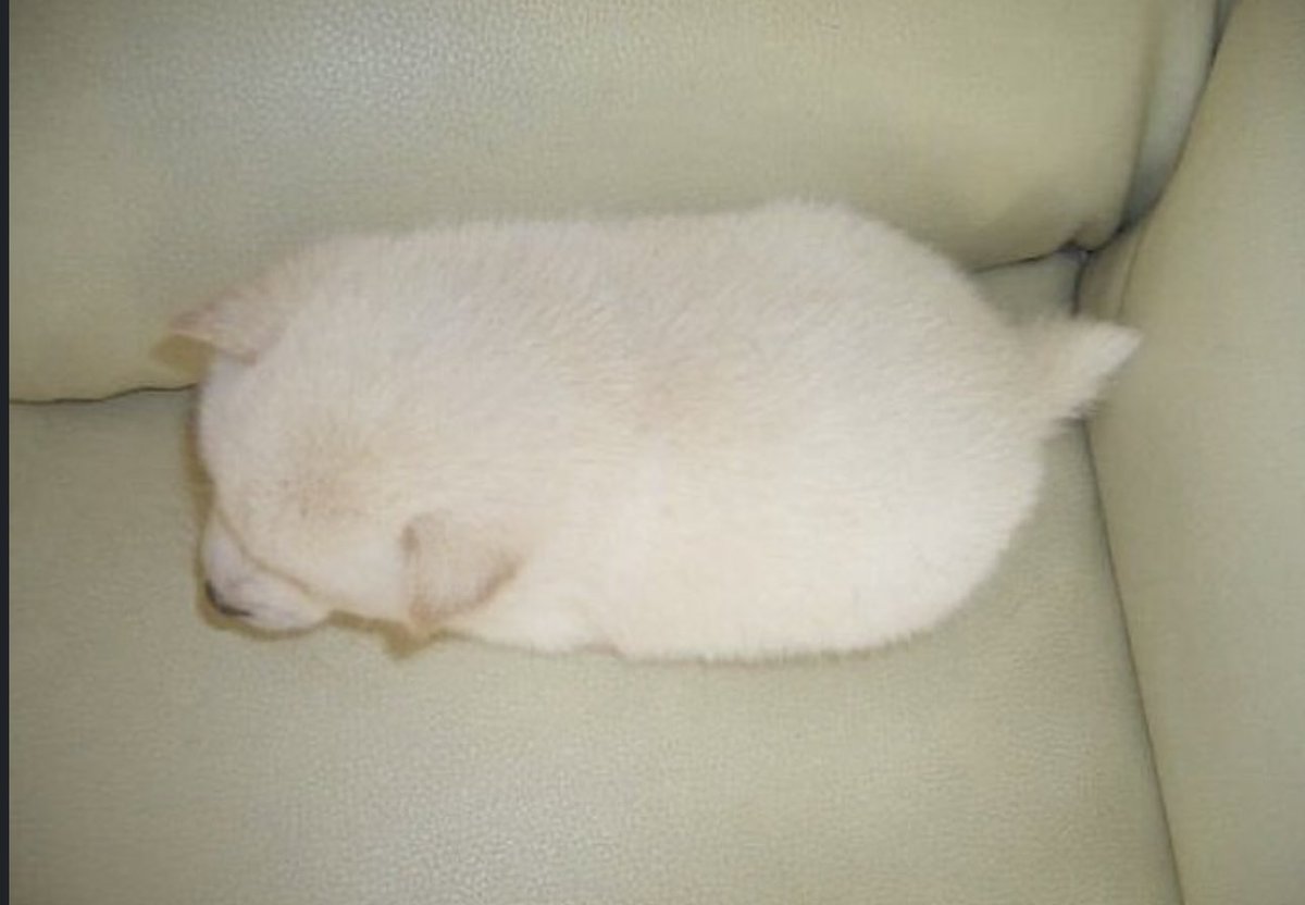 sorry  i  didn’t text you back      i was   fading into the   soft moonlight