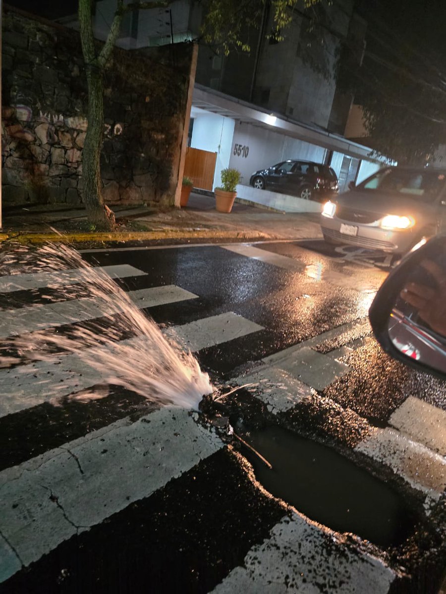 pabloabucci's tweet image. Mega fuga en Desierto de los leones y av toluca, dar solución @SacmexCDMX @GobCDMX