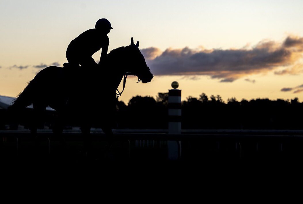 قال سبحانه وتعالى :
"وأشرقت الأرض بنوُر ربها"
"والصبح إذا تنفس"
إنها البلاغة الإلهية التي تتدفق من كتاب الله سبحانه وتعالي جل شأنه وجل في علاه.

مصدر حقوق الصورة :
<a href="/theTDN/">TDN</a>