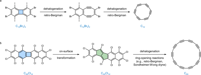 On-surface synthesis and characterization of anti-aromatic cyclo[12]carbon and cyclo[20]carbon nature.com/articles/s4146…