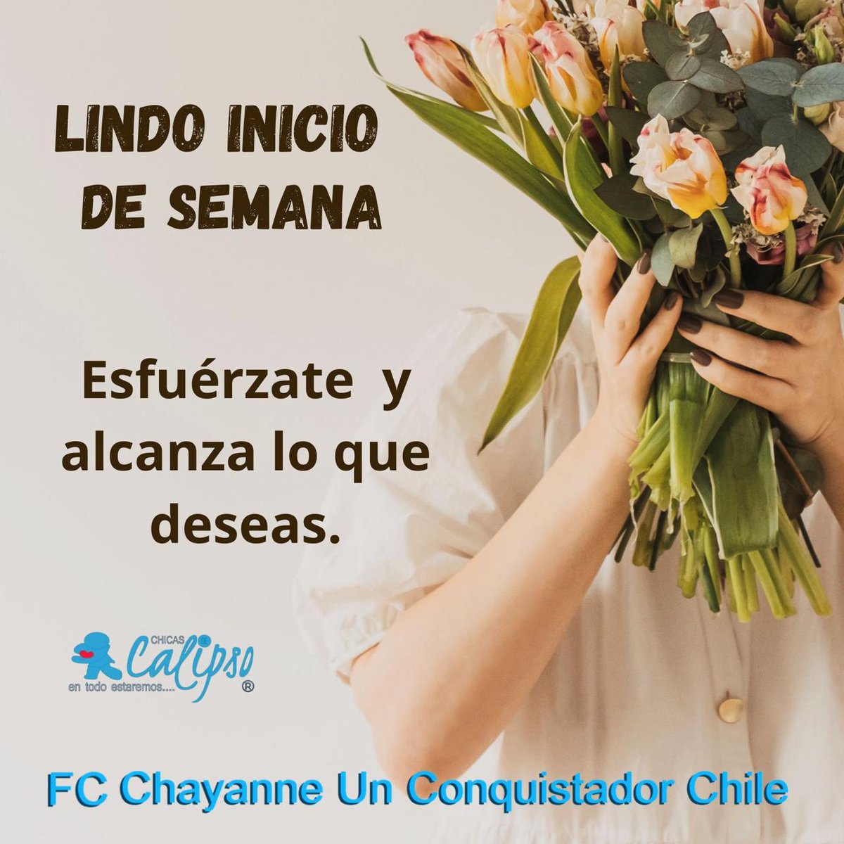ChayMagaly's tweet photo. Lindo comienzo de Semana querida @Lafrangh que traiga excelentes oportunidades para un exitoso Septiembre.
Abrazos de @CHICASDECALIPSO #QtaNormal https://t.co/eJQ1tGIr7z