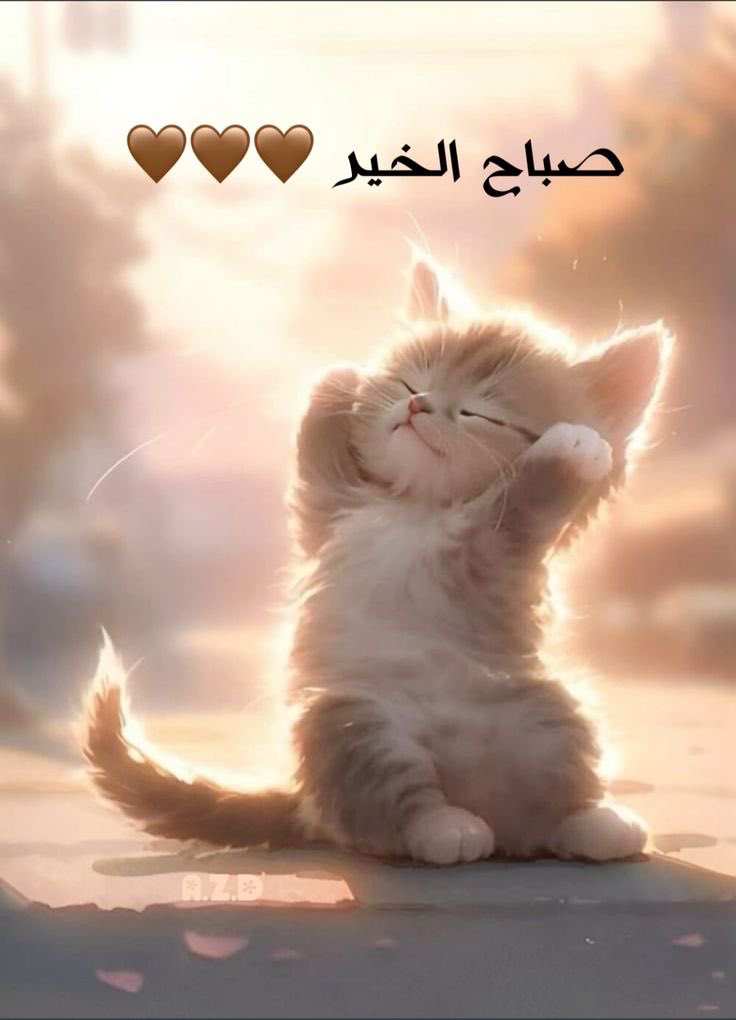 #صباح_الخير_والسعاده