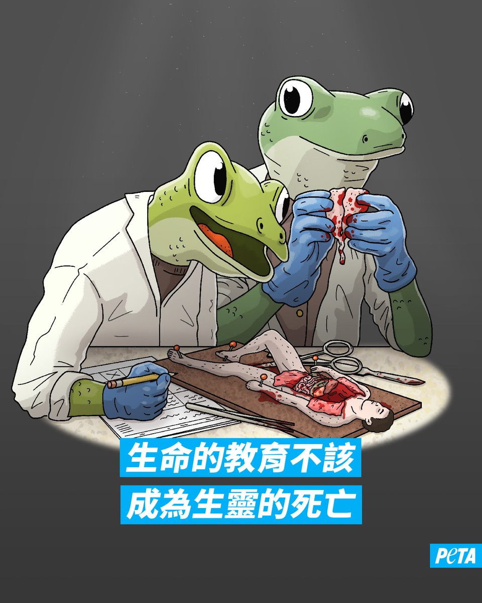 PETAAsiaZH's tweet photo. 倘若角色對調...
青蛙和我們一樣,只希望和家人一起安寧地生活,而不是被用作生物課上的解剖教具。
在課堂上使用動物進行解剖,只會助長學生對生命的漠視;如今已有先進的非動物解剖工具,可讓學生高效學習並培養同理心。
#DissectionKills #CutOutDissection https://t.co/emVR44gjB6
