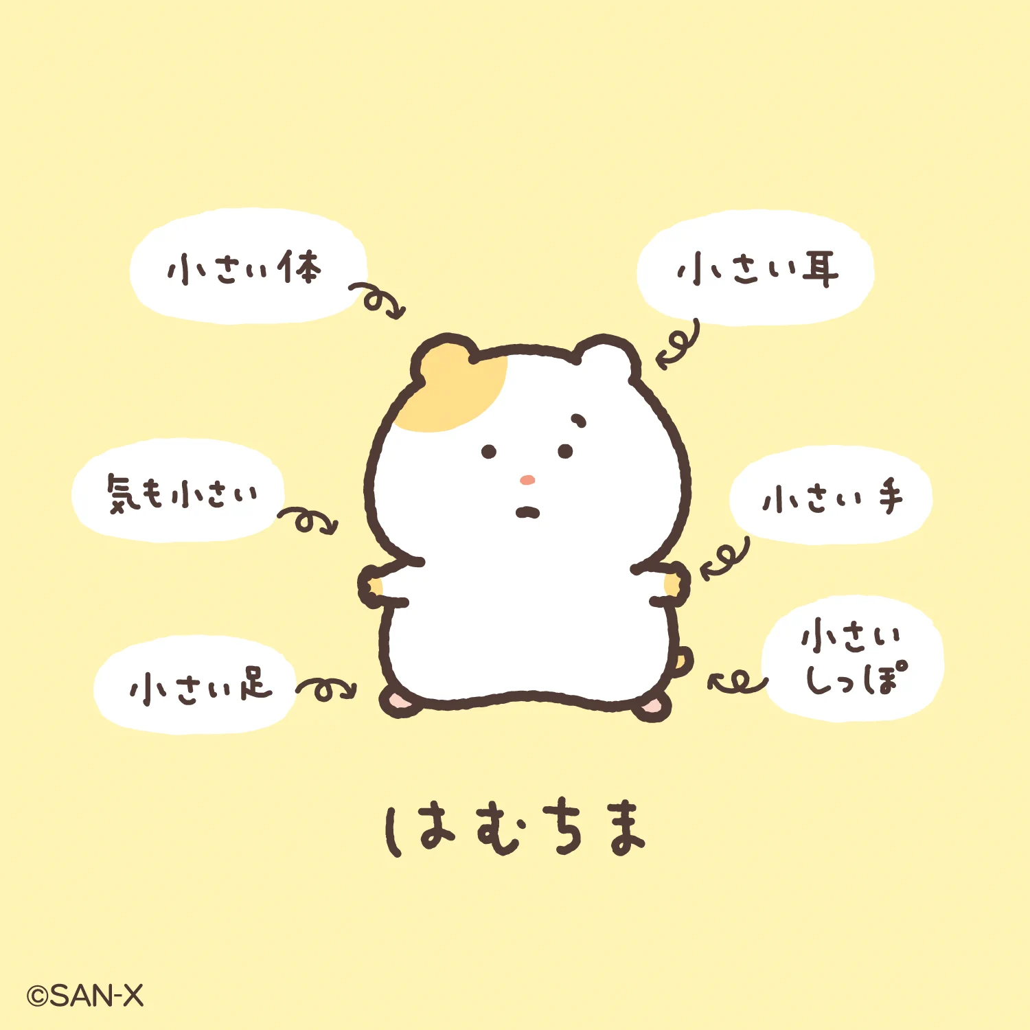 サンエックス【公式】 on X: 