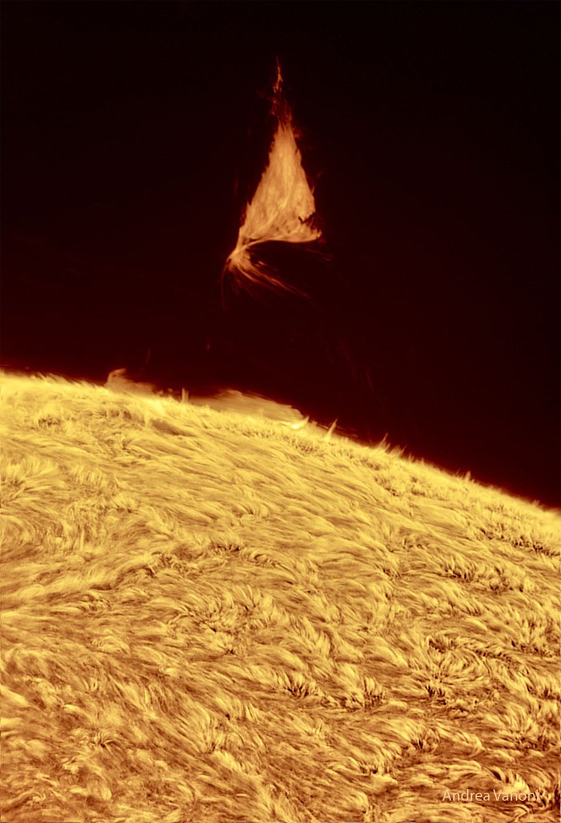 apod's tweet photo. Why is there a triangle hovering over the Sun? Although the shape is unusual, the type of structure is not: it is part of an evolving solar prominence. Looping magnetic fields on the Sun channel the flow of energetic particles, sometimes holding glowing gaseous structures aloft for months. A prominence glows brightly because it contains particularly hot, dense, or opaque solar plasma. The surprising triangular structure occurred last week. Larger than our Earth, the iconic prominence was imaged by several solar photographers and documented by NASA's Solar Dynamic Observatory to form and violently dissipate in about a day. The featured image was captured in a color of red light emitted strongly by hydrogen. Below, solar fibrils carpet the Sun's chromosphere, while the background sky is so faint in comparison that no stars are visible. Our Sun's surface has been quite active this year.

Image Credit & Copyright: Andrea Vanoni