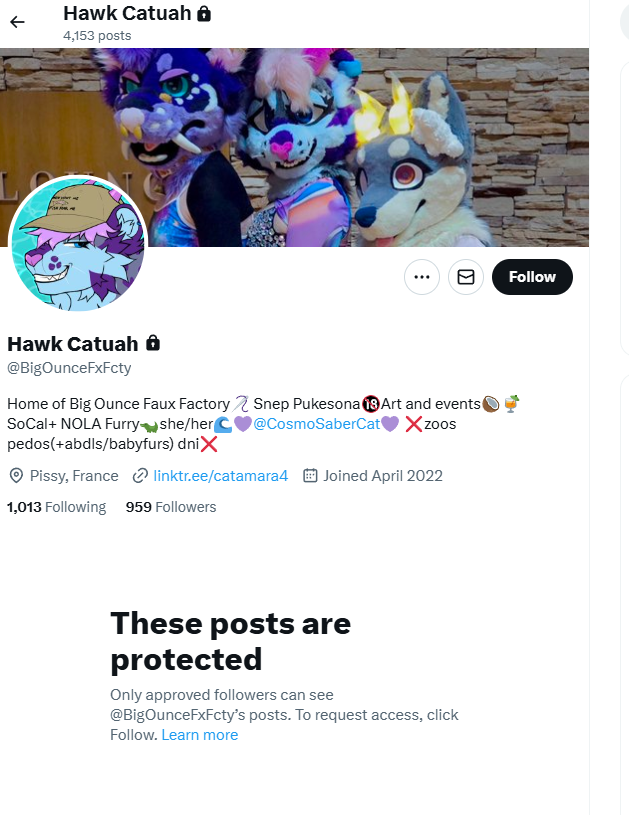 BlueTheFox / Pinetree tweet media