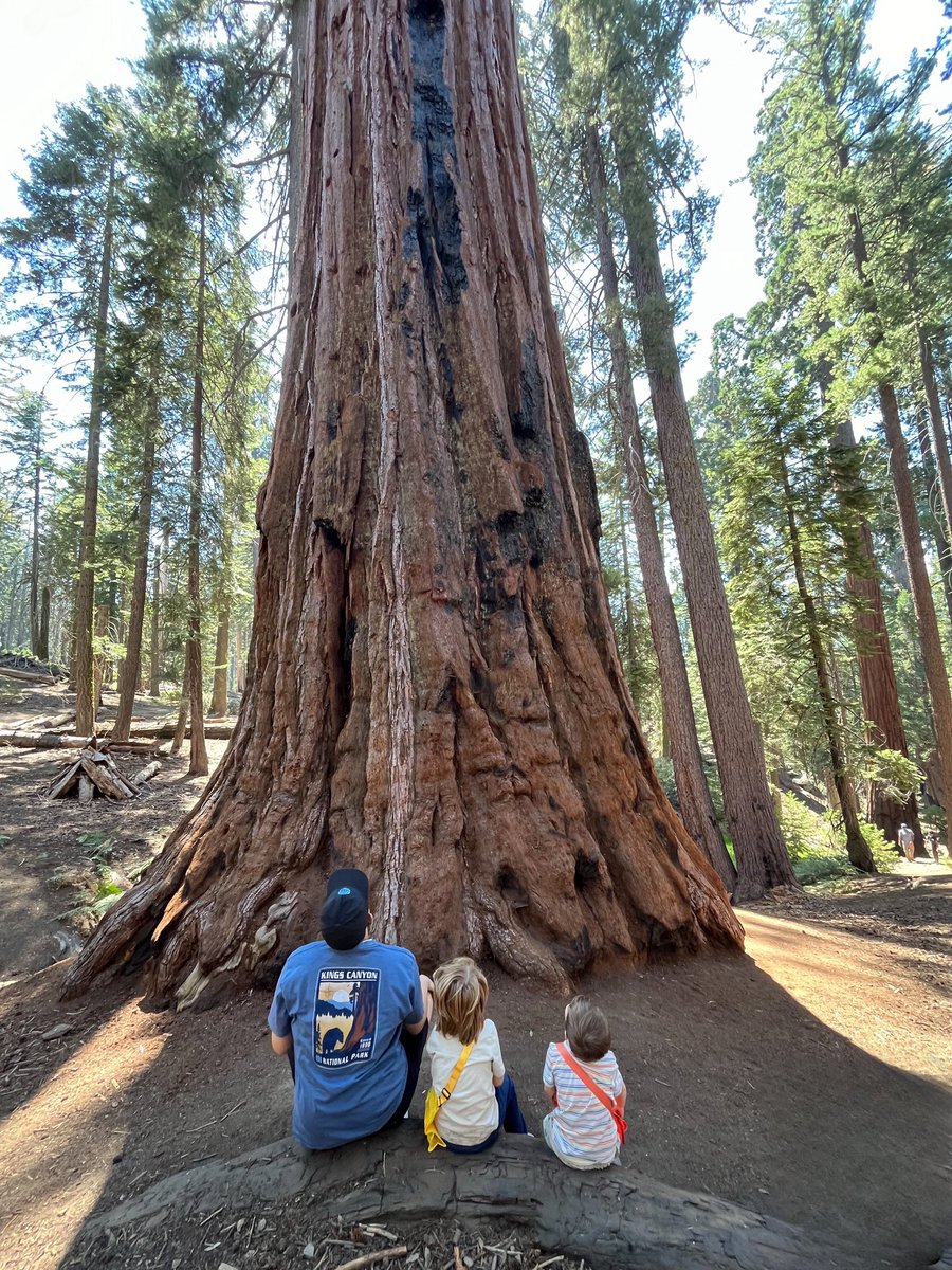 Spent the day in the amazing <a href="/SequoiaKingsNPS/">Sequoia & Kings Cyn</a> with the family. Sometimes, all you need is a little time in the great outdoors to recharge. #Unplugged #LaborDay