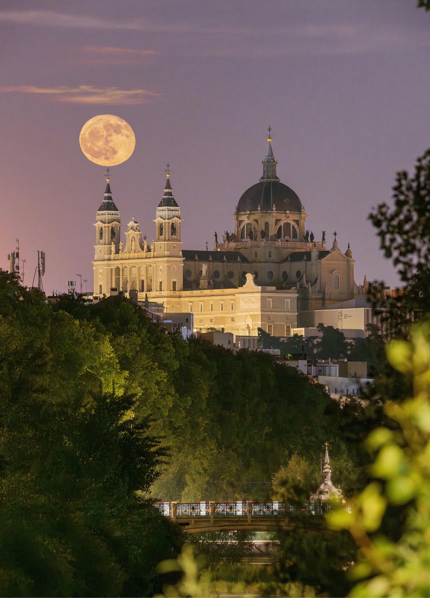 A look into why people long for Spain when they’re away —

Straight from those who love it most.

Their heartfelt, nostalgic, and hilarious answers:

(a 🧵)