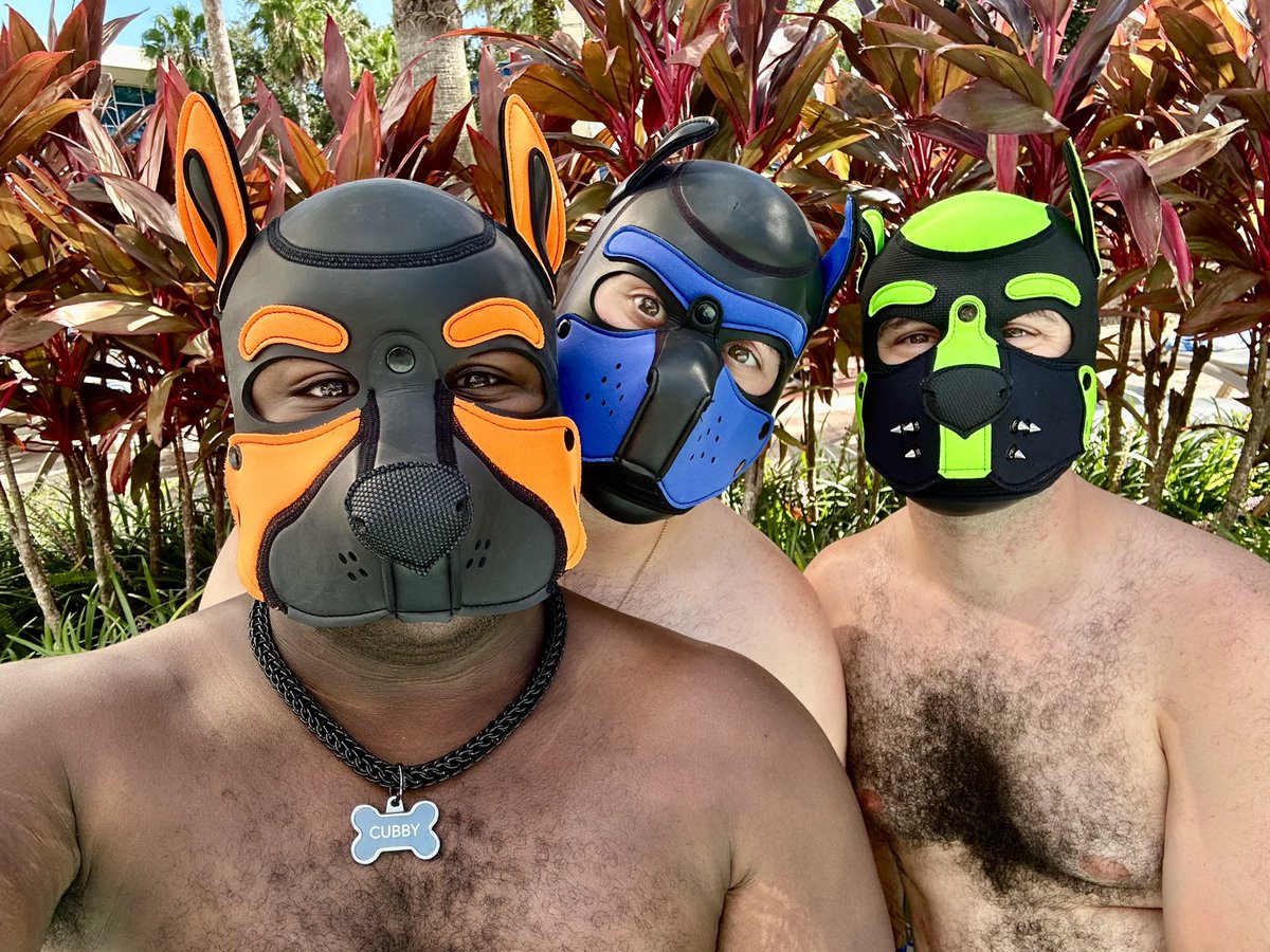 thisiscubby's tweet image. poolside pups
@_Fynn42 @lilfetfenwick 

#megaplex24 #gear #pup #sportypup #orlandopup #jockstrap #bearcub  #gay #gaypup #fetish #kink  #puphood #humanpup #gaypuppy #gogoboy #gogopup #musclepup #gaynsfw #floridapup  #pupplay #gaymer  #orlandopup #gaycub #gaymuscle #nerdypup #furry