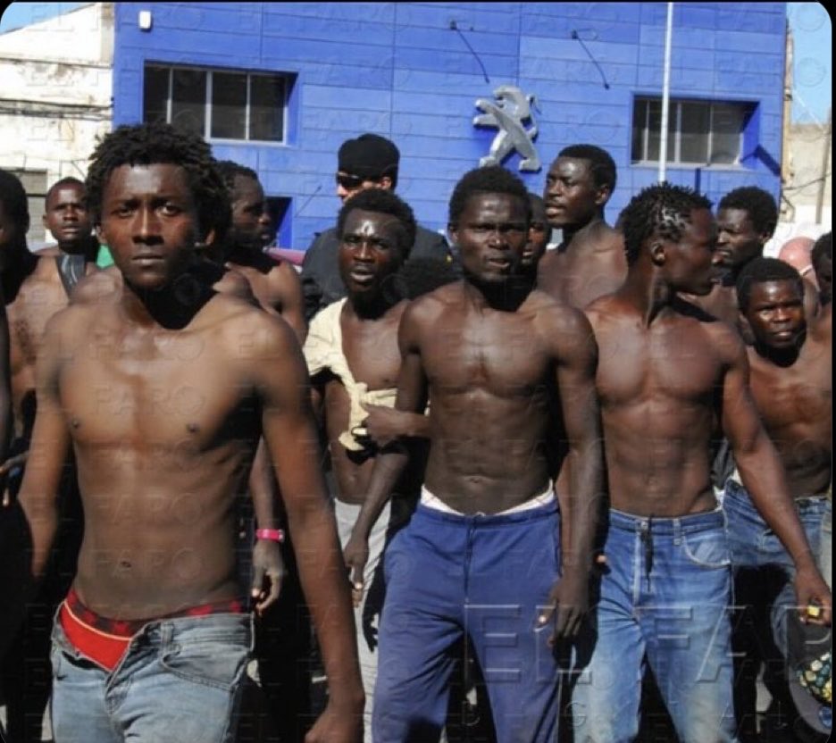 noitre32's tweet photo. Questi sono arrivati da poco in Europa.
 Vedete bambini?
 Vedere donne? 
Vedere persone denutrite?
NO! 
Questi gireranno nelle nostre strade e quando avranno fame e voglia di sesso, ruberanno e violenteranno! 🤬 https://t.co/EXgjAfzfAL
