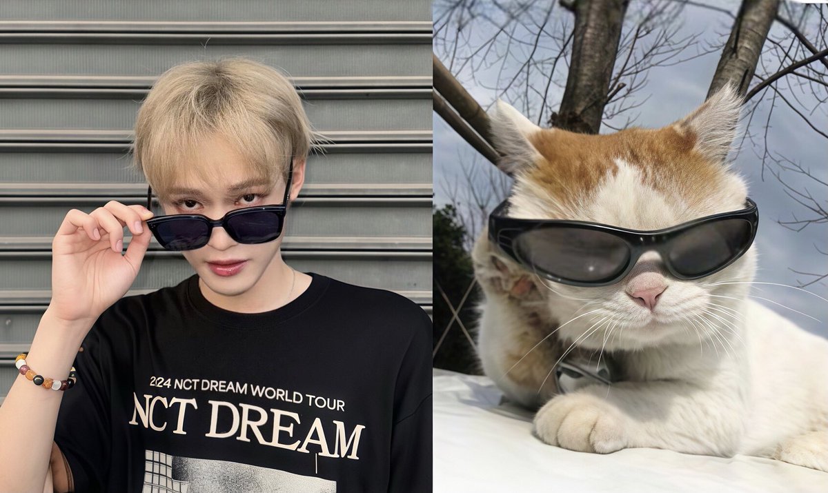 petchanook's tweet photo. รู้ไหมคัยเหมียว /ขยับแว่น https://t.co/c5GR9wBZjH