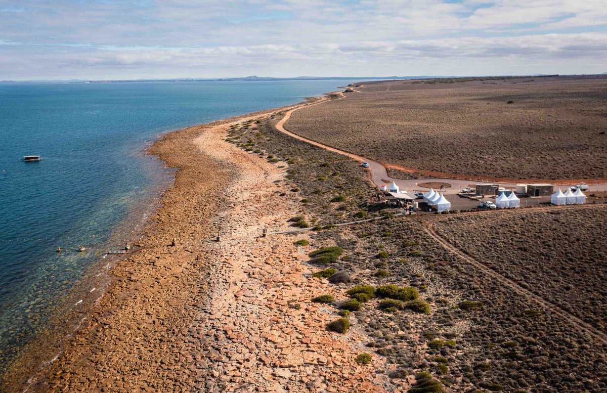 CityOfWhyalla's tweet photo. The Federal Government is investing $400,000 to help protect our unique Cuttlefish Coast Sanctuary Zone, helping ensure it can better cater for growing visitor numbers, led by the SA Govt and partnering with Council: https://t.co/nR4qJce3bI @tanya_plibersek @SenatorGrogan https://t.co/k56kymVqyM