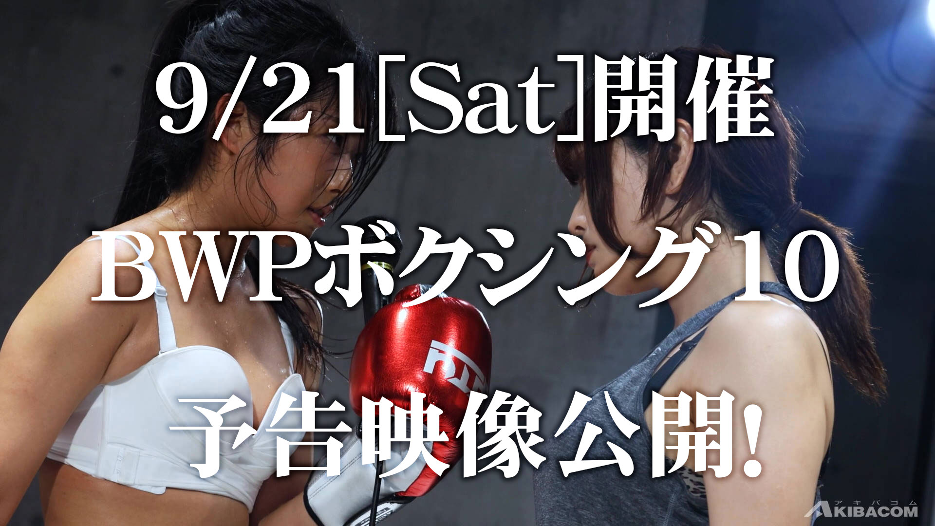 BWFB-01　BWPボクシングシークレット興行01 ボクシンググローブ WAKOシリーズ WBL-T1