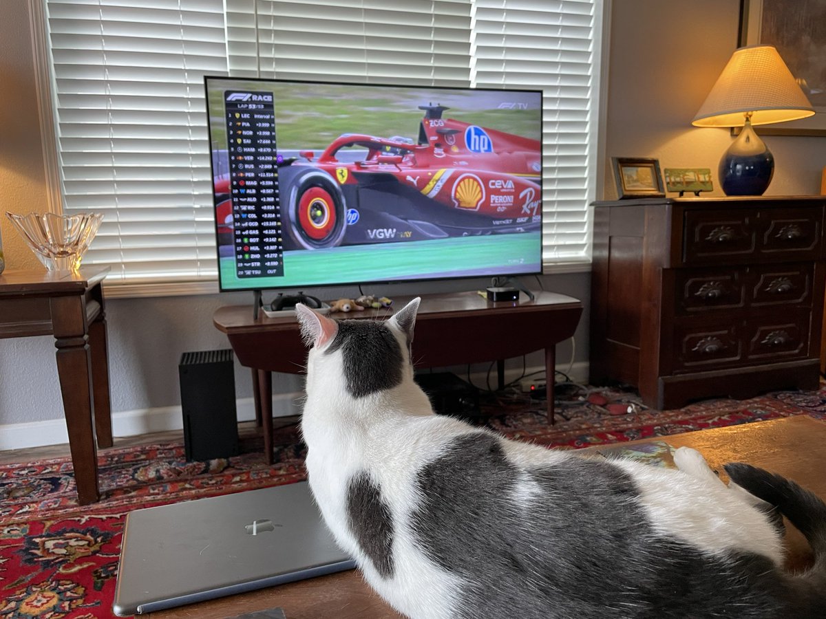Obviously our Lando needs his own <a href="/ScuderiaFerrari/">Scuderia Ferrari HP</a> cat-sized team wear so he can cheer his favorite driver on in true Tifosi sytle