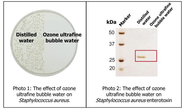 ScienceJapanJST's tweet image. #NiigataUniversity has developed a safe, affordable disinfectant using ozone ultrafine bubbles that kills #bacteria and degrades toxins, effective for medical and food industries. #Disinfectant #Innovation #OzoneTech

Check👉sj.jst.go.jp/news/202409/n0…