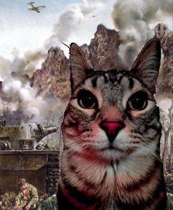 censilfy's tweet image. #30DaysWritingChallenge start on Sep, 3rd 2024