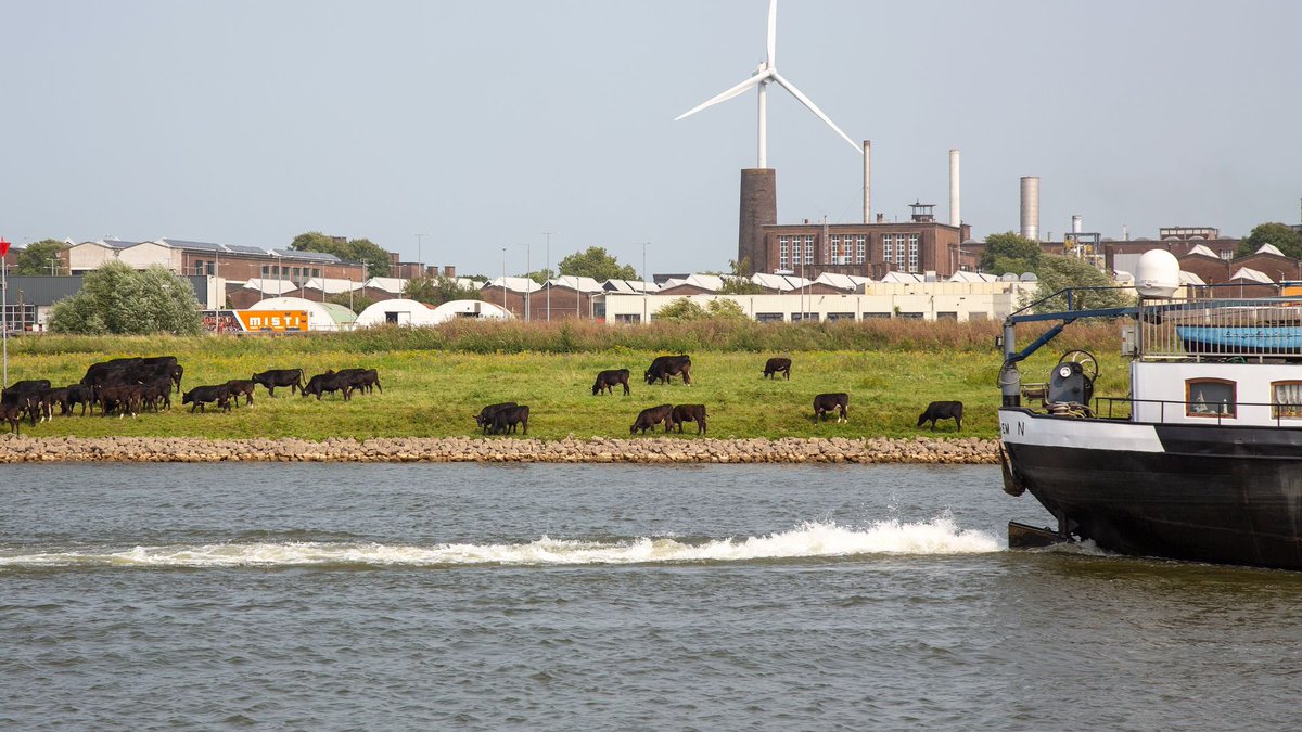 #Waterkwaliteit | Waterbedrijven roepen Duitsland op om #PFAS-lozingen in Rijn aan te pakken: nos.nl/artikel/253561… 💧