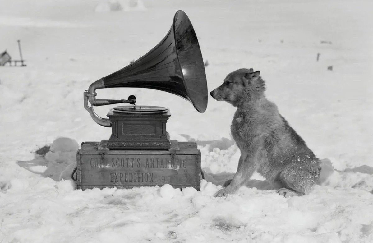 Music Warms Us Mind-Body and Soul.❤️

Sled dog listens to gramophone in Antarctica circa 1911🎶🐕❤️