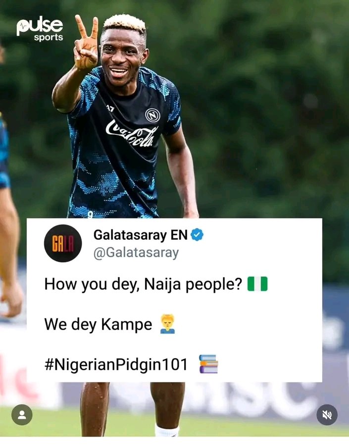 OlagunjuJamiu6's tweet image. Go where dem value you and that will make you the most desirable man of all time! 
#osimhen #vo9