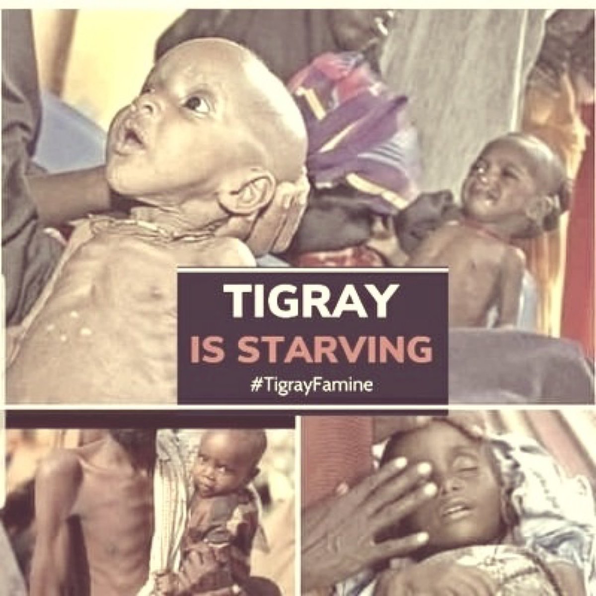 ተዛርዮምላ ዓደይ (@yohanes1421) on Twitter photo The #TigrayFamine is taking a devastating toll. It's crucial that organizations like <a href="/hrw/">Human Rights Watch</a> <a href="/WFP/">World Food Programme</a>! <a href="/USAID/">USAID</a> <a href="/FAO/">Food and Agriculture Organization</a> <a href="/USDA/">Dept. of Agriculture</a> <a href="/USUN/">U.S. Mission to the UN</a> <a href="/UKaid/">UK aid</a> & <a href="/amnestyusa/">Amnesty International USA</a> <a href="/WHO/">World Health Organization (WHO)</a> <a href="/_AfricanUnion/">African Union</a> #UpholdThePretoriaAgreement #EritreanTroopsOutOfTigray
foreignaffairs.com/ethiopia/ethio The #TigrayFamine is taking a devastating toll. It's crucial that organizations like <a href="/hrw/">Human Rights Watch</a> <a href="/WFP/">World Food Programme</a>! <a href="/USAID/">USAID</a> <a href="/FAO/">Food and Agriculture Organization</a> <a href="/USDA/">Dept. of Agriculture</a> <a href="/USUN/">U.S. Mission to the UN</a> <a href="/UKaid/">UK aid</a> & <a href="/amnestyusa/">Amnesty International USA</a> <a href="/WHO/">World Health Organization (WHO)</a> <a href="/_AfricanUnion/">African Union</a> #UpholdThePretoriaAgreement #EritreanTroopsOutOfTigray
foreignaffairs.com/ethiopia/ethio