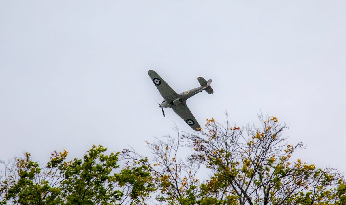 INTS 2024 tweet media