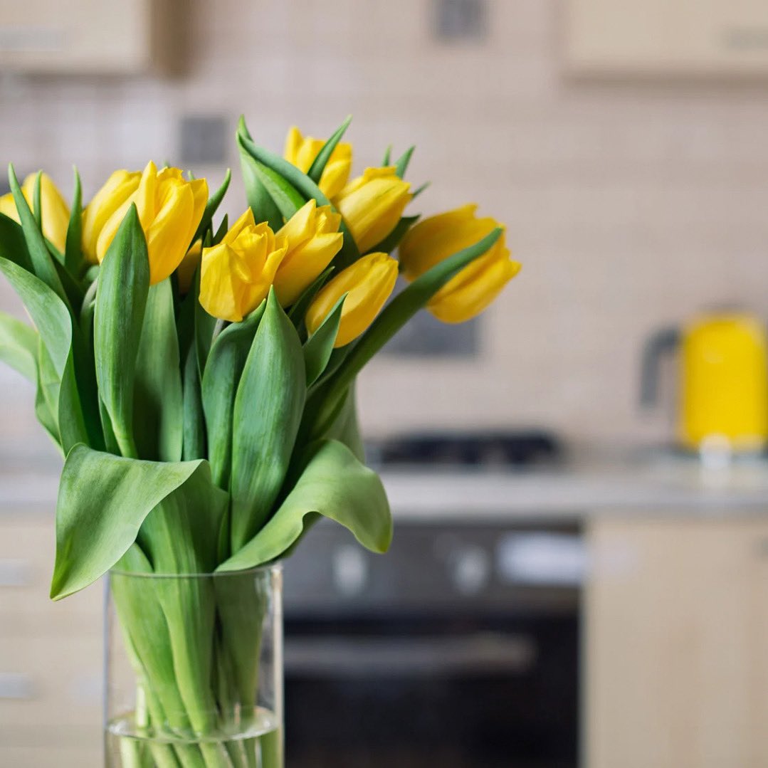 MayfairEstate's tweet photo. Spring into your dream home at Mayfair Estate. This season of renewal is the perfect time to find your new beginning.
Enjoy the vibrant living spaces and unmatched serenity that Mayfair Estate has to offer. Your dream home awaits.
#MayfairEstateMthatha #PropertySA #Mthatha #Spring