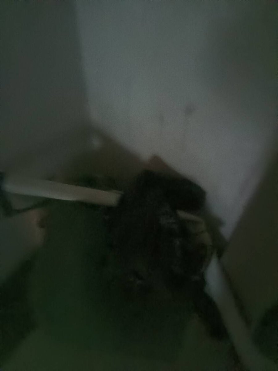 又被脱光丢掉衣裤鞋了