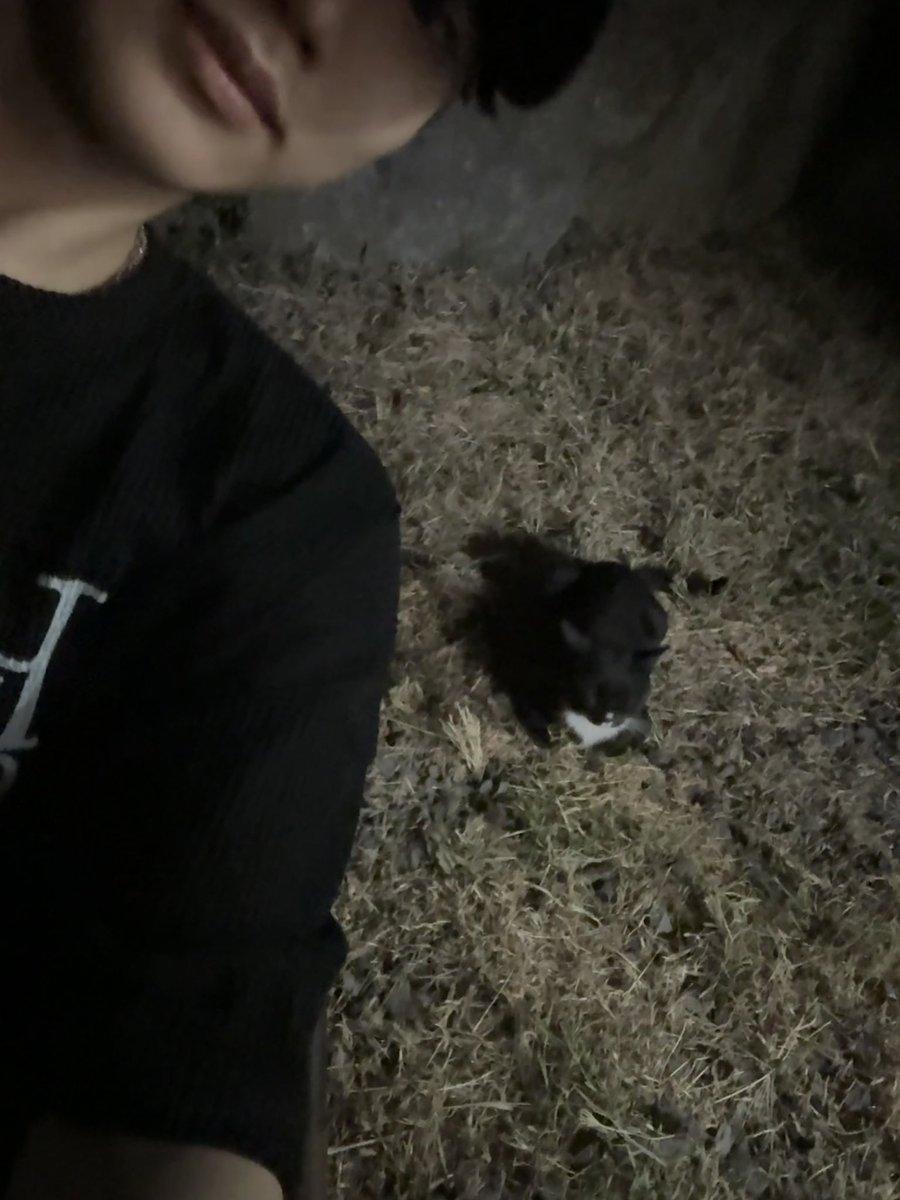 Willer_LoL's tweet photo. 휴가 동안 여행
12일 연속 쵸비상😶‍🌫️ https://t.co/zDHtjuZ8lD