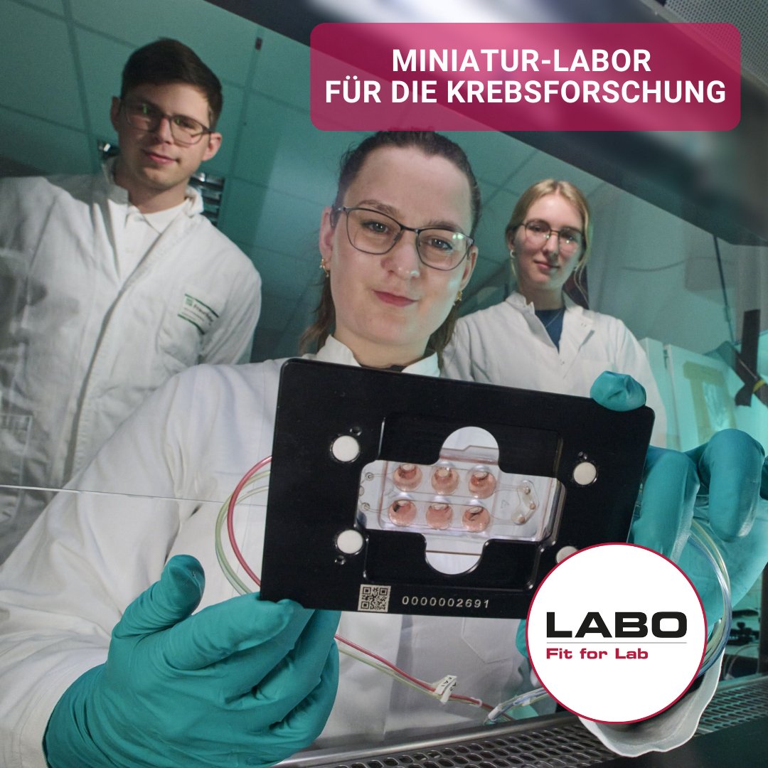 LaboOnline's tweet image. Einblicke in das Entstehen von Metastasen

Forschungsteams entwickeln gemeinsam mikrophysiologische Systeme, in denen sich Tumor-Gewebeschnitte kultivieren lassen.

Mehr unter: ow.ly/mH8650T9LFR

#Labor #laboratory #Forschung #Krebs #Tumor