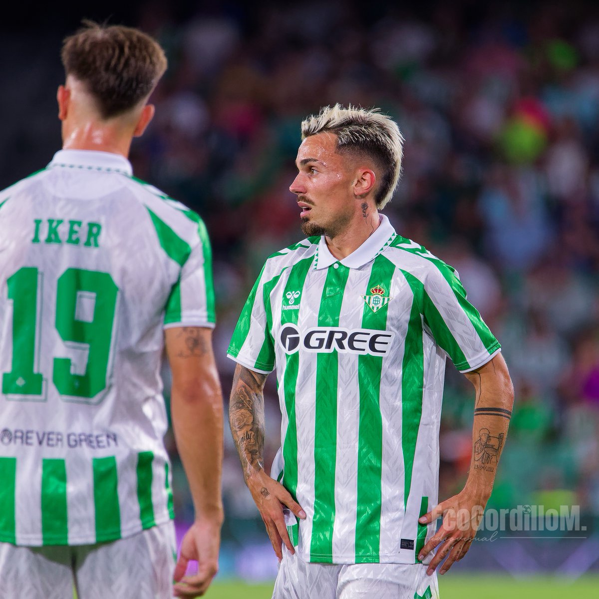 FcoGordilloM.audiovisual tweet media