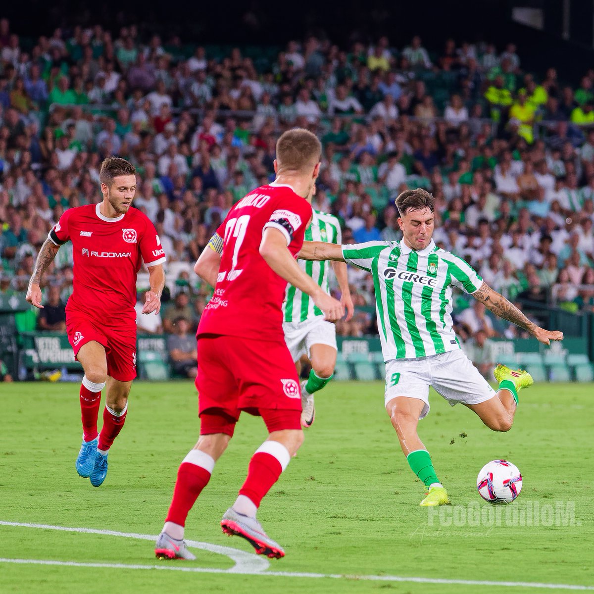 FcoGordilloM.audiovisual tweet media