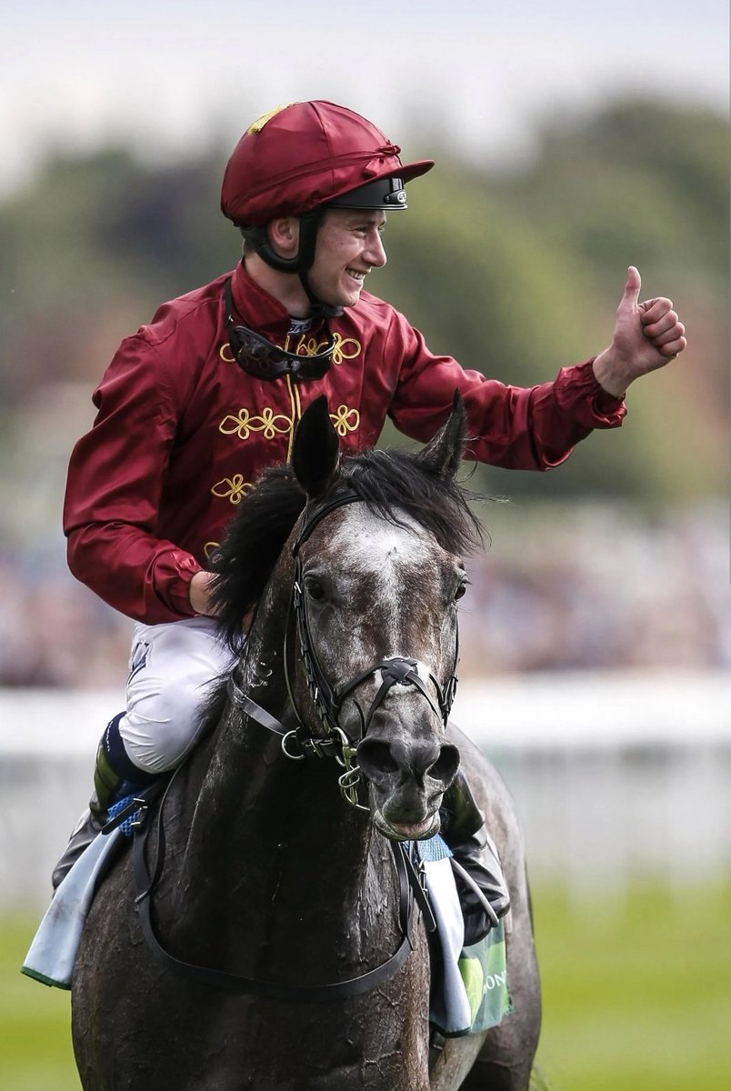 racingblogger's tweet image. 💷 IF KISS AND RUN &amp;amp; WHERE'S CLARE Both WIN for Champion Jockey OISIN MURPHY At Goodwood Today: 😍

I'll give £100 Cash to One of YOU Lucky People! 🤝 💷 

To Enter: 👇

1️⃣ RT This Tweet
2️⃣ Like This Tweet
3️⃣ Follow @racingblogger

GOOD LUCK EVERYONE!! 🏆✨️
 
#WIN #GOAT #Horse