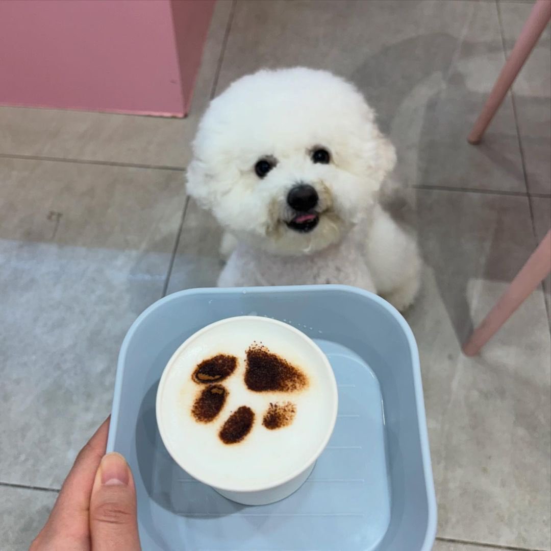 azzostagram tweet media