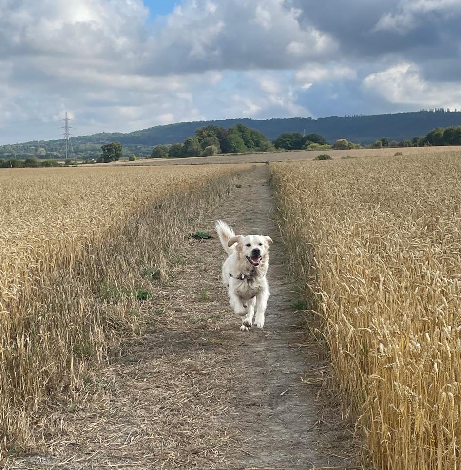 Alastair Ankers (@alastairankers) on Twitter photo 