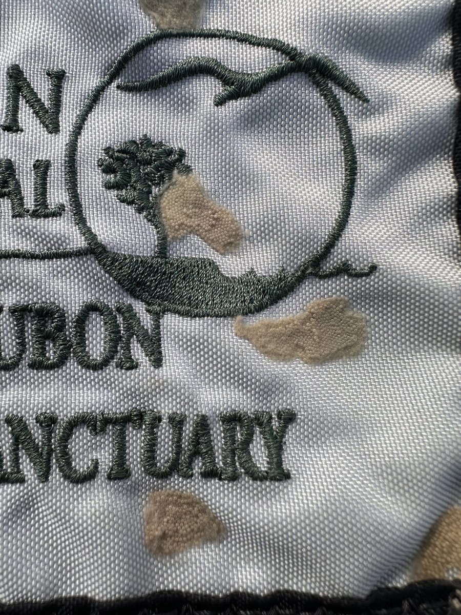 WarriorsPathGC tweet media