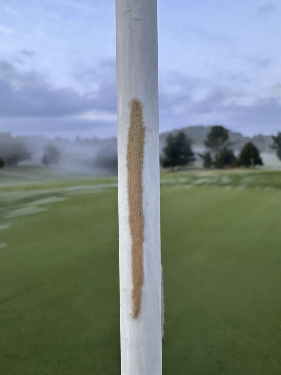 WarriorsPathGC tweet media