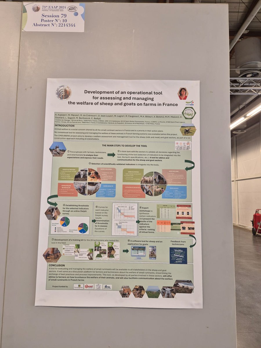 InstitutElevage's tweet photo. 🔴 #EAAP2024 | Poster Session 79
✅ Projet #CMOUBIENE : Évaluer et gérer le bien-être des #ovins 🐑 &amp; #caprins 🐐 en élevage
👉 Mettre en place un outil dans une démarche de co-construction avec les acteurs de terrain &amp; filières
▶️ Par notre collègue Anne Aupiais
#IdeleEAAP2024 https://t.co/1NwoA5K6h3